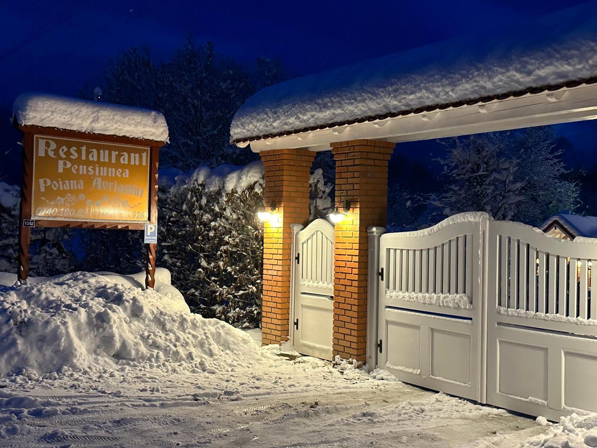 Pensiunea Poiana Avrigului Exteriér fotografie