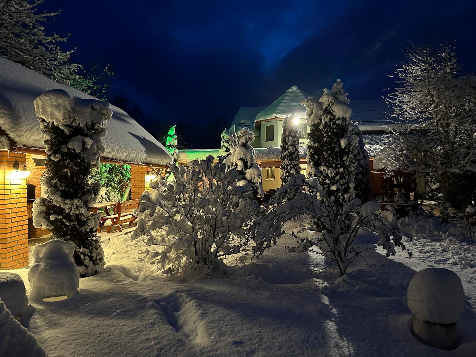 Pensiunea Poiana Avrigului Exteriér fotografie
