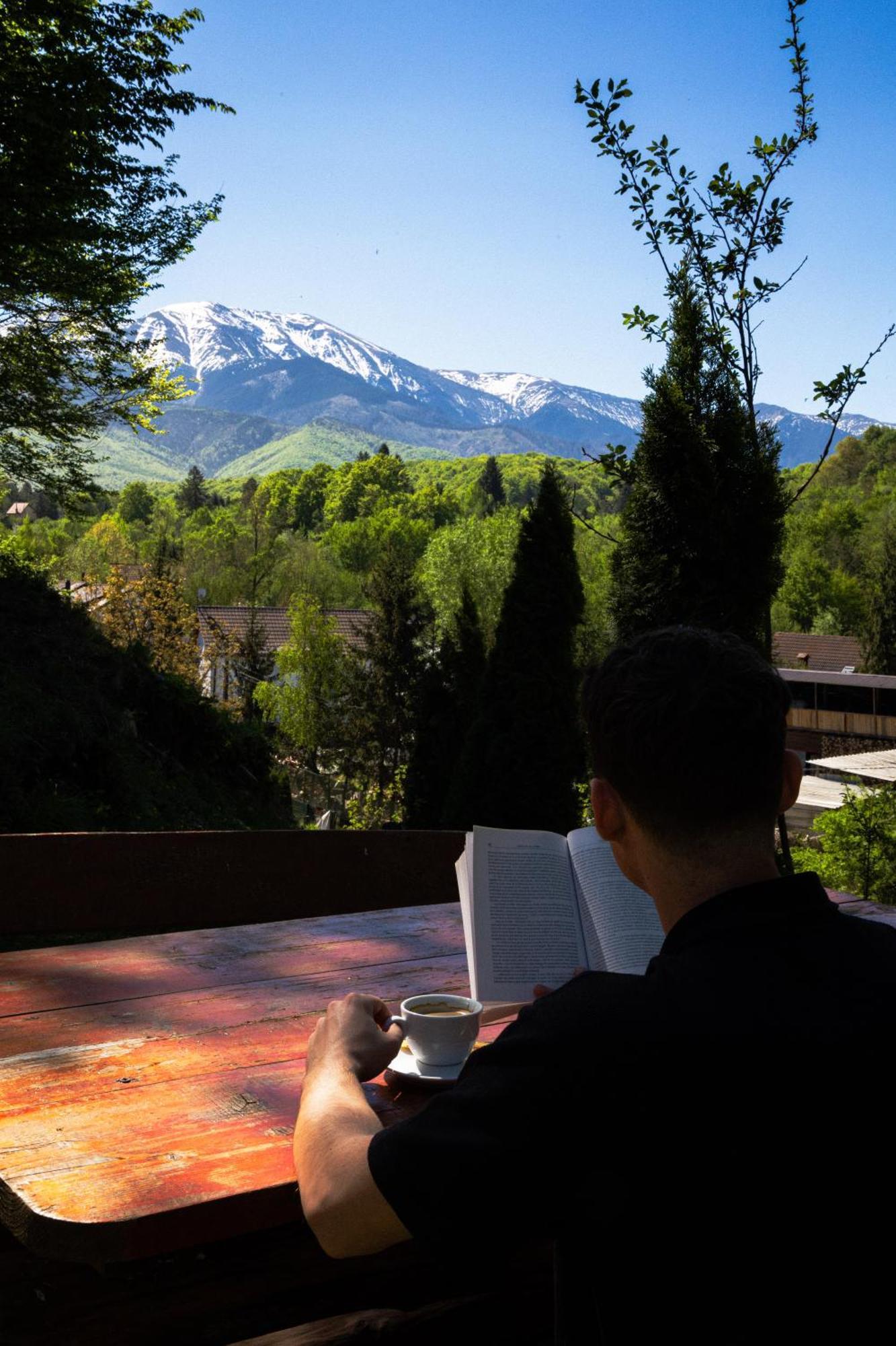 Pensiunea Poiana Avrigului Exteriér fotografie
