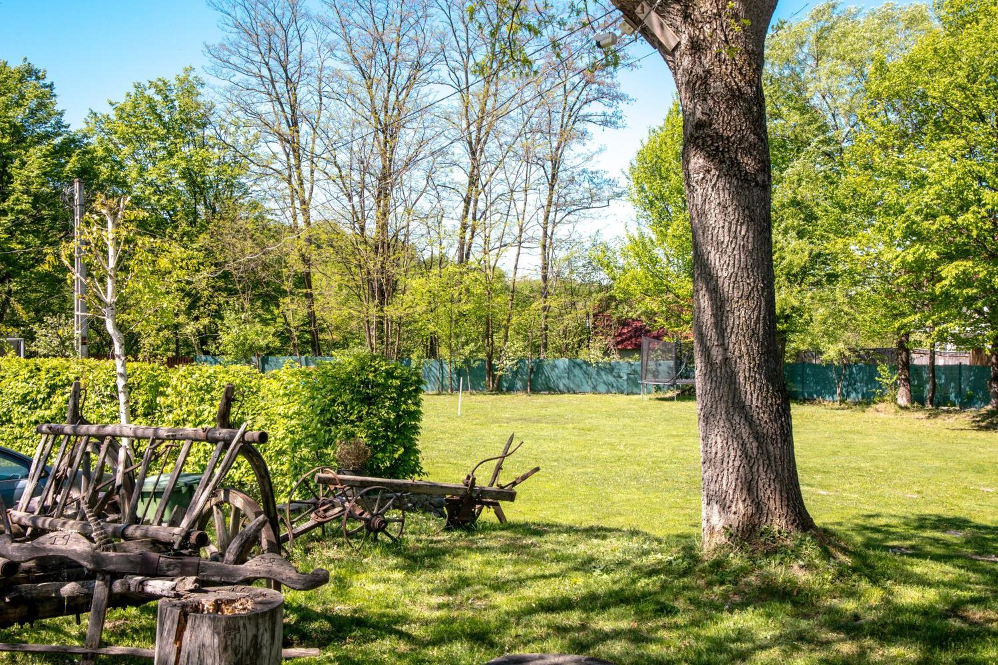 Pensiunea Poiana Avrigului Exteriér fotografie
