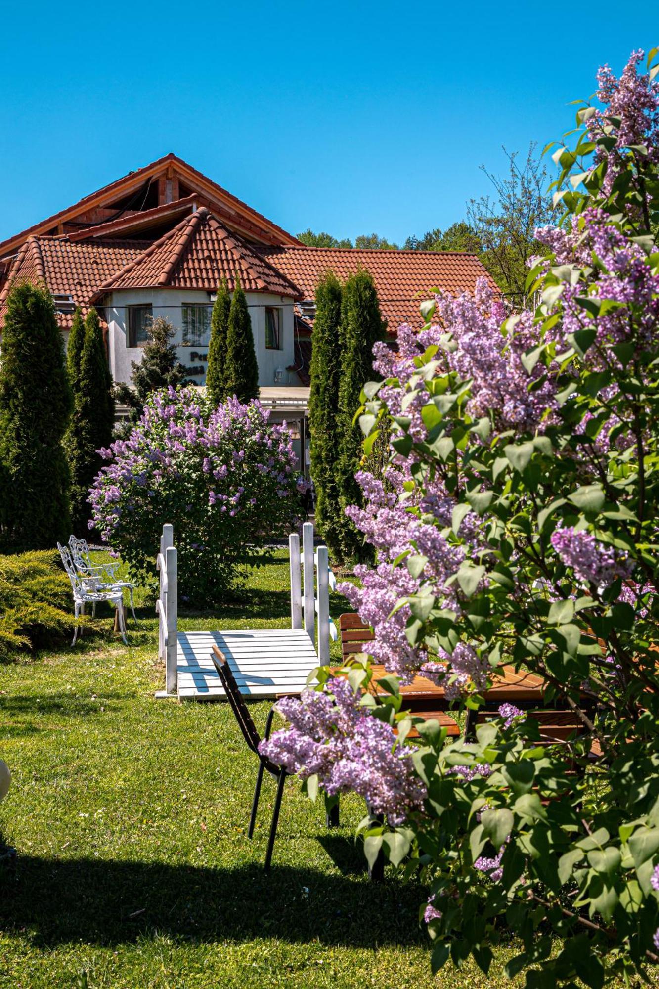 Pensiunea Poiana Avrigului Exteriér fotografie