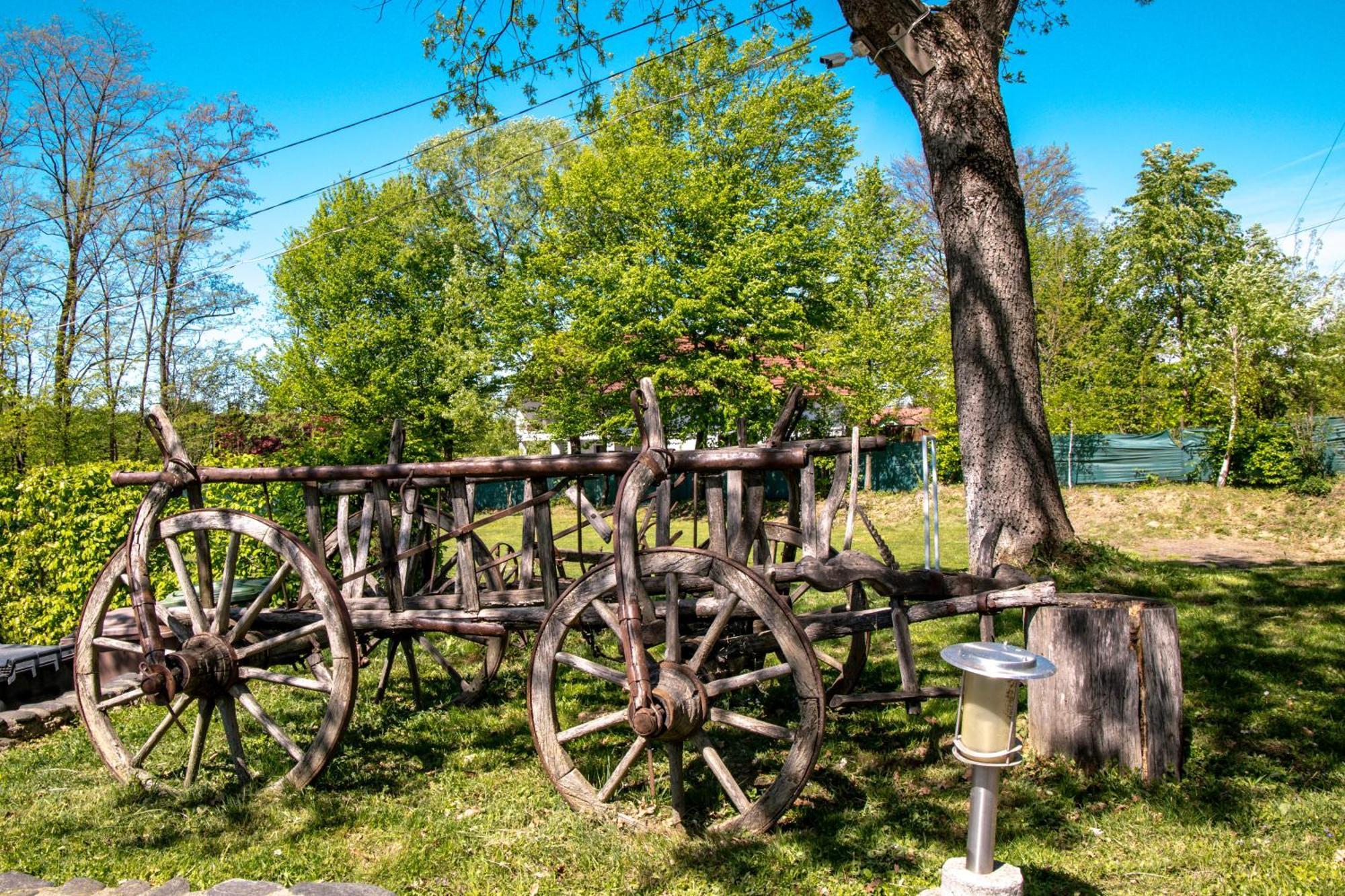 Pensiunea Poiana Avrigului Exteriér fotografie